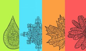 Seasonal Trends in Android Device Purchasing Insights Seasonal Trends in Android Device Purchasing Insights