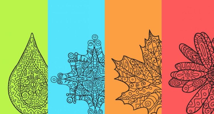 Seasonal Trends in Android Device Purchasing Insights