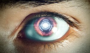 The Future of Wearable Technology in the Market The Future of Wearable Technology in the Market