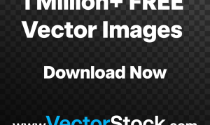 Using Video Content to Promote Gadgets Effectively Using Video Content to Promote Gadgets Effectively