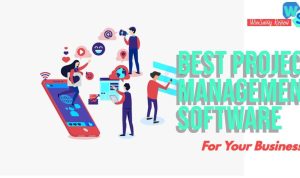 Software Solutions For Effective Project Management Unveiled Software Solutions For Effective Project Management Unveiled