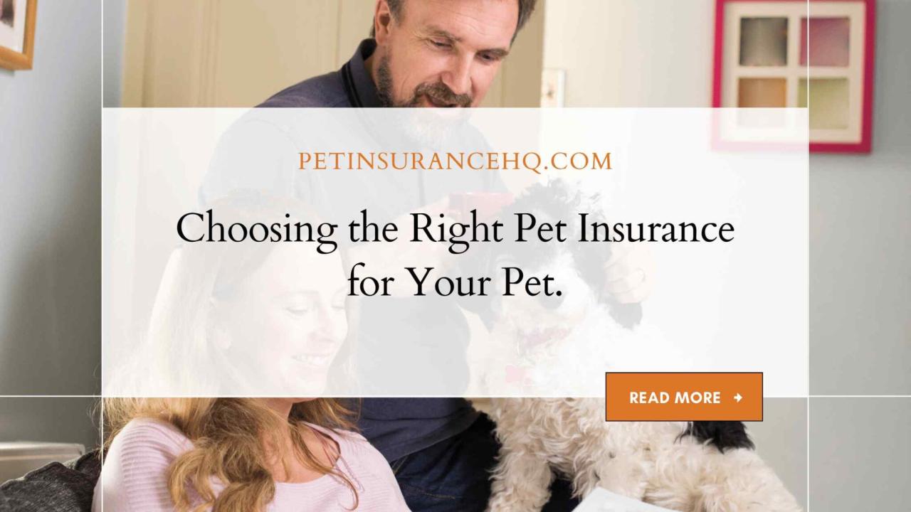 Home - Pet Insurance HQ