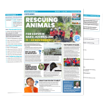 Critically Analyze News Reports And Articles Now