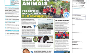 Critically Analyze News Reports And Articles Now Critically Analyze News Reports And Articles Now