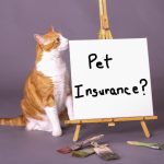 What To Know Before Purchasing Pet Insurance