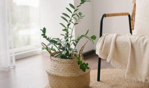 Trending Home Accessories For 2023 Must-Have Guide