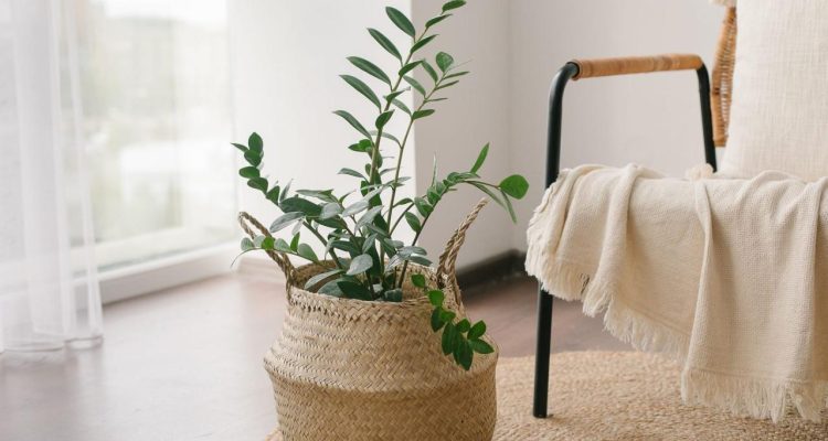 Trending Home Accessories For 2023 Must-Have Guide