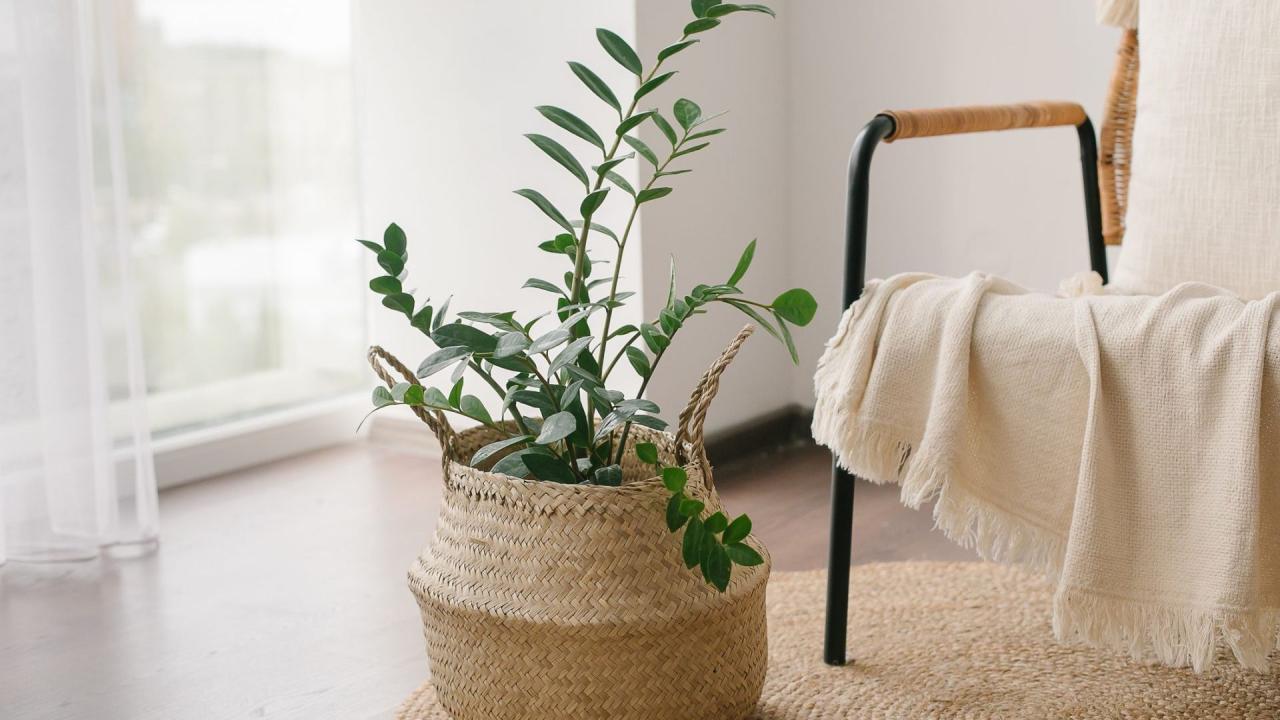 Trending Home Accessories For 2023 Must-Have Guide