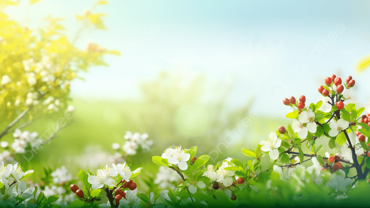 꽃 식물 숲 봄 광고 배경, 봄, 풍경, 자연스러운 배경 일러스트 및 사진 무료 다운로드 - Pngtree How To Troubleshoot Common Vehicle Electrical Issues
